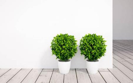 �Gɫ�h(hu��n)�����o���oζ