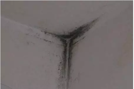 �҃�(n��i)�Y(ji��)¶�l(f��)ù