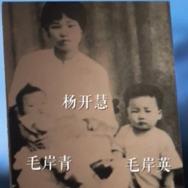 【HEF黨建小課堂100講】第七十講：“打仗總是要死人的……不要因?yàn)槭俏业膬鹤樱彤?dāng)成一件大事”(圖2)