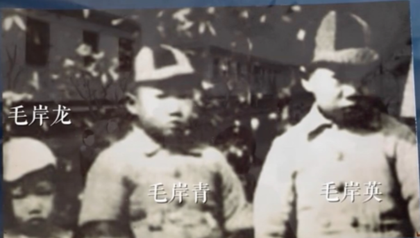 【HEF黨建小課堂100講】第七十講：“打仗總是要死人的……不要因?yàn)槭俏业膬鹤樱彤?dāng)成一件大事”(圖4)